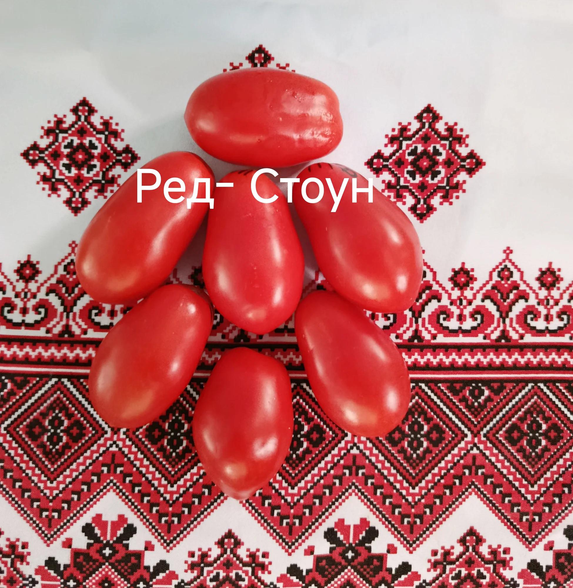 Ред Стоун