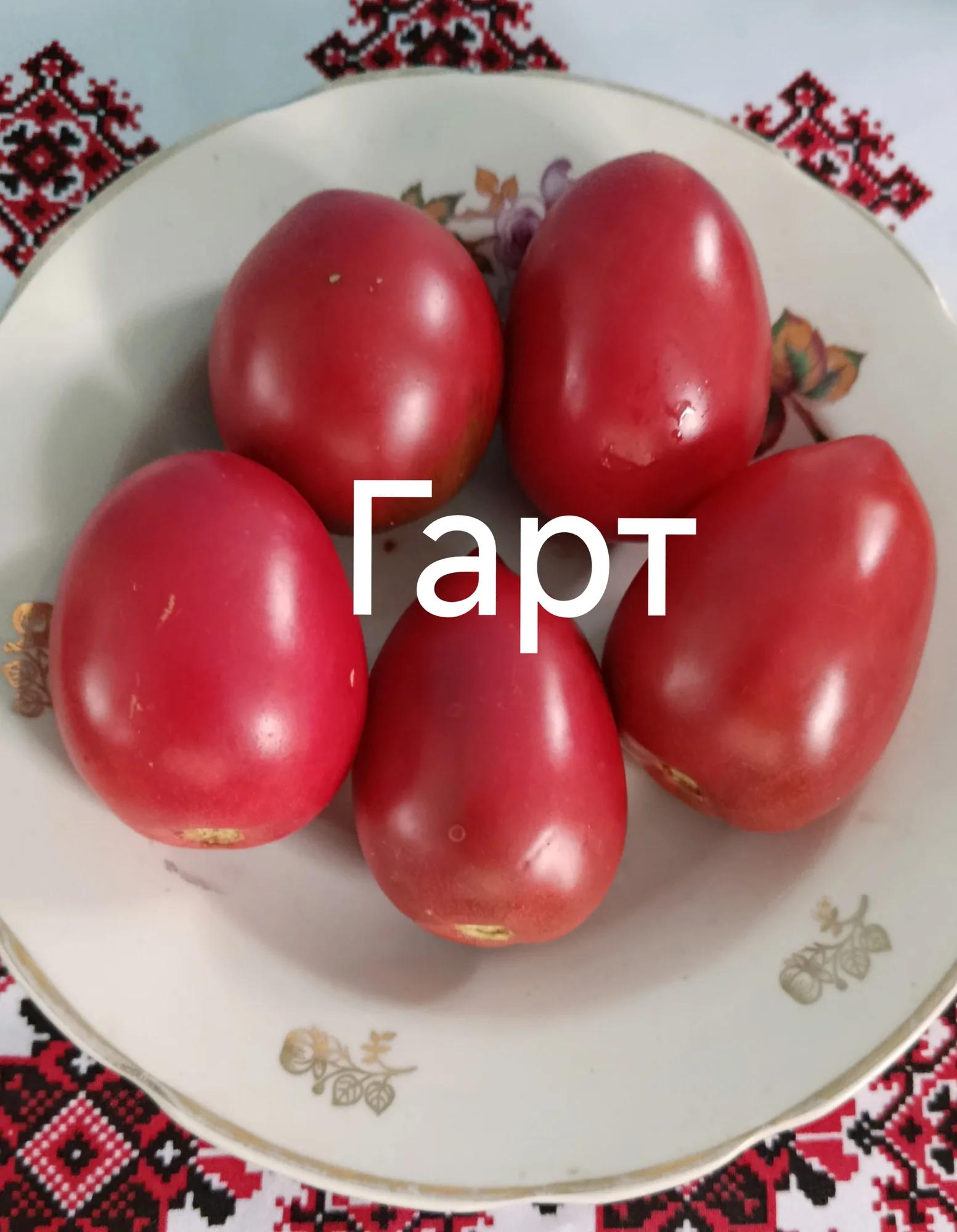 Гарт (колекційний сорт)