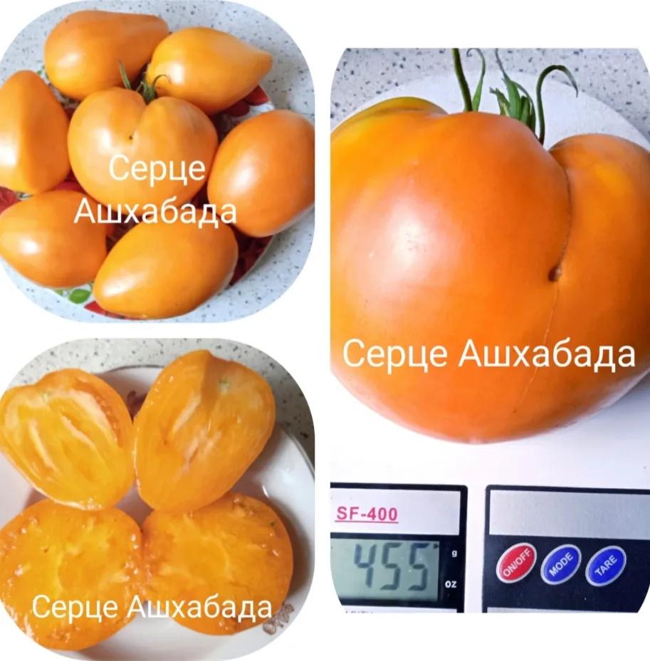 Серце Ашхабаду