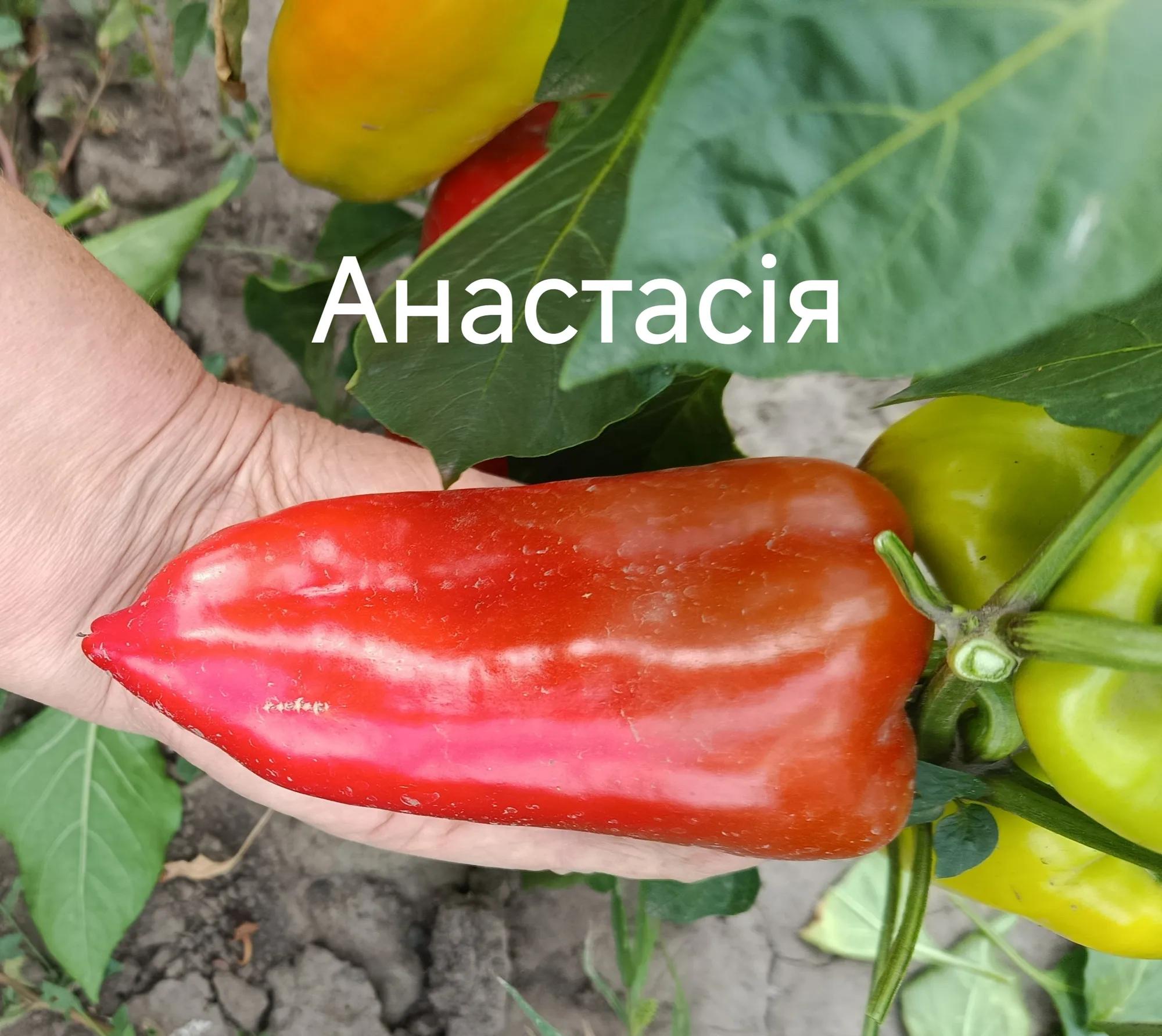 Мініатюра 2