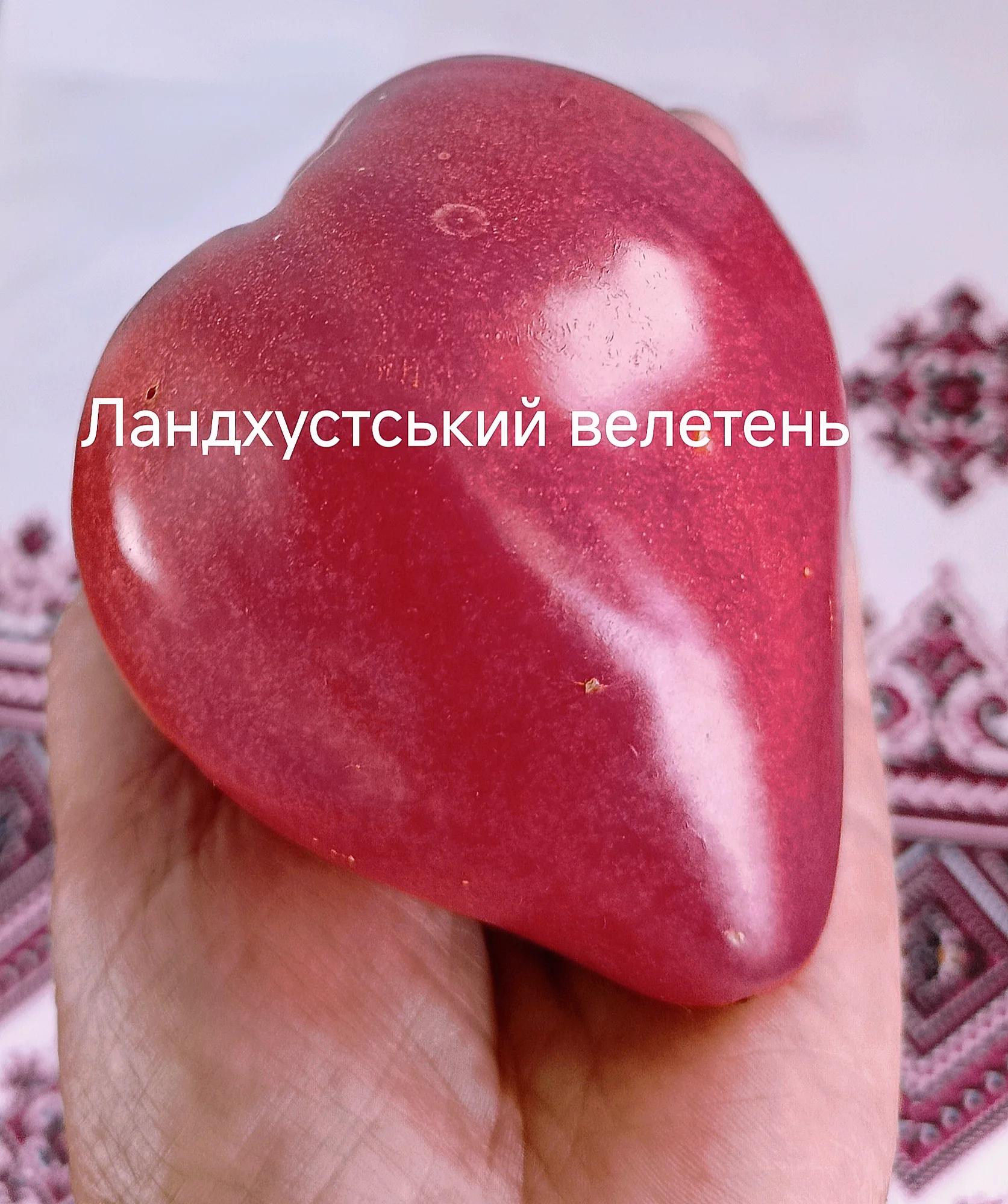 Мініатюра 2