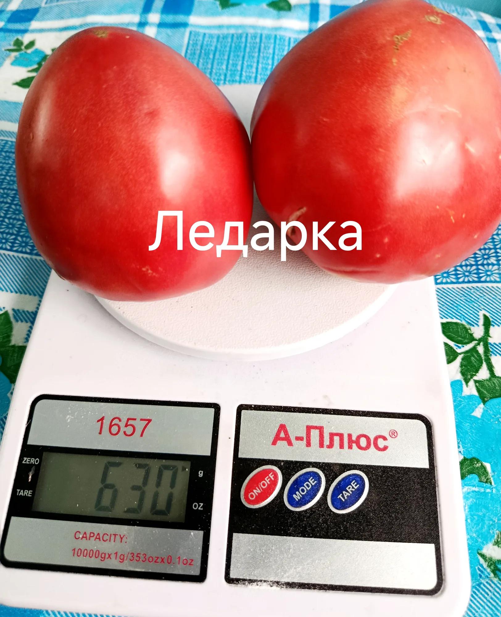 Мініатюра 3