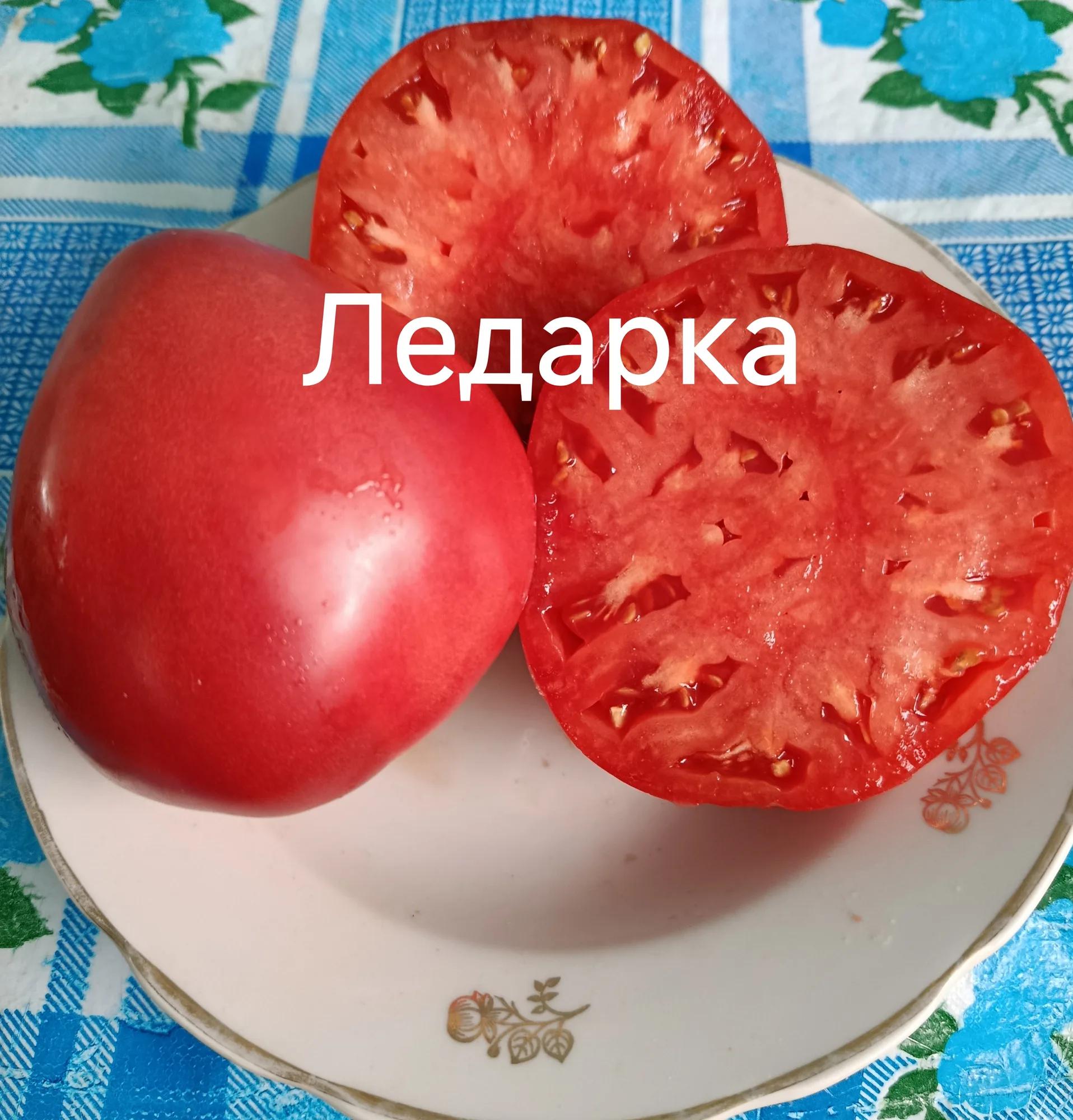 Мініатюра 4