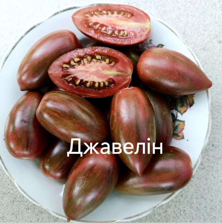 Мініатюра 2