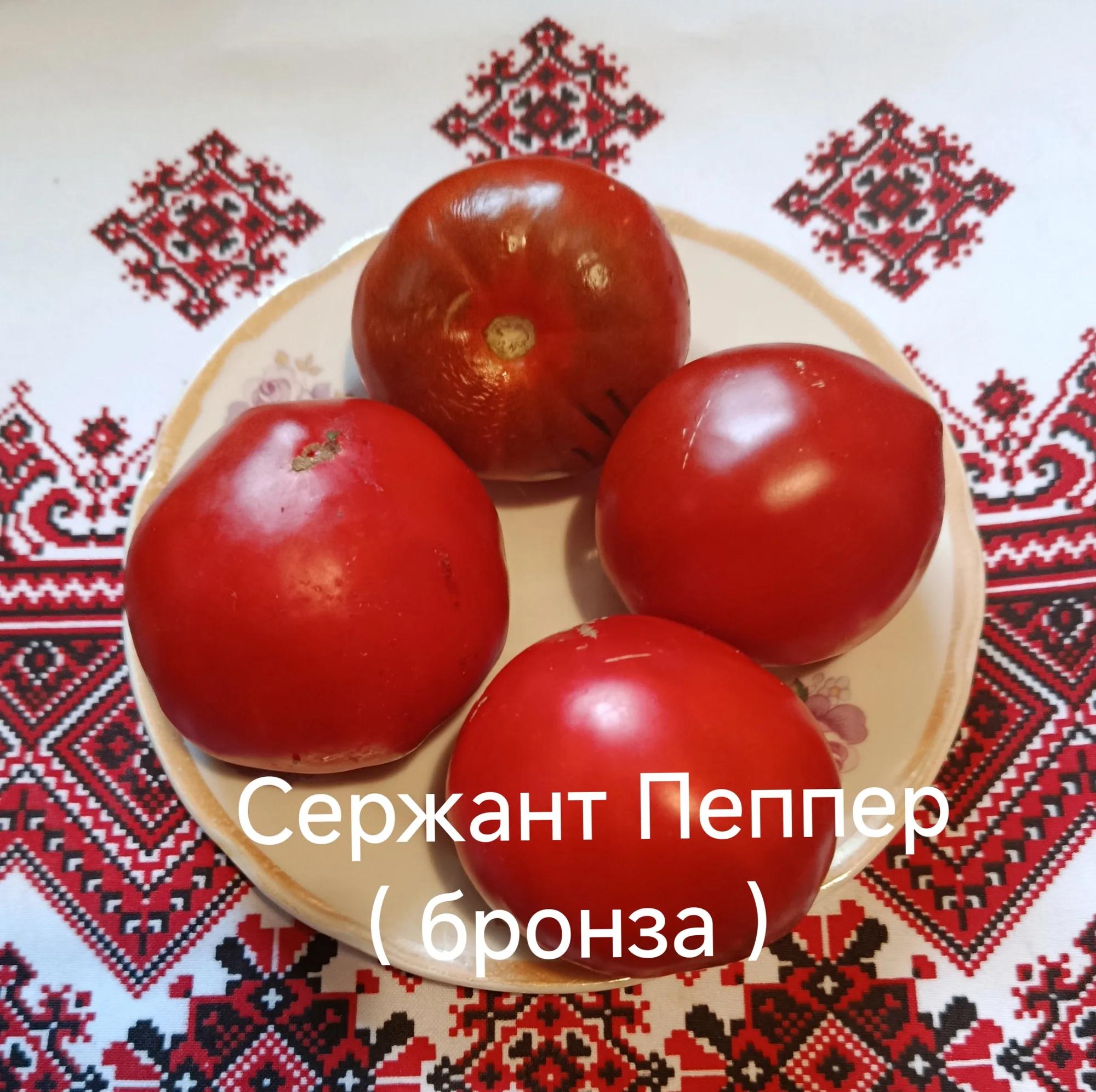 Сержант Пеппер (бронза)