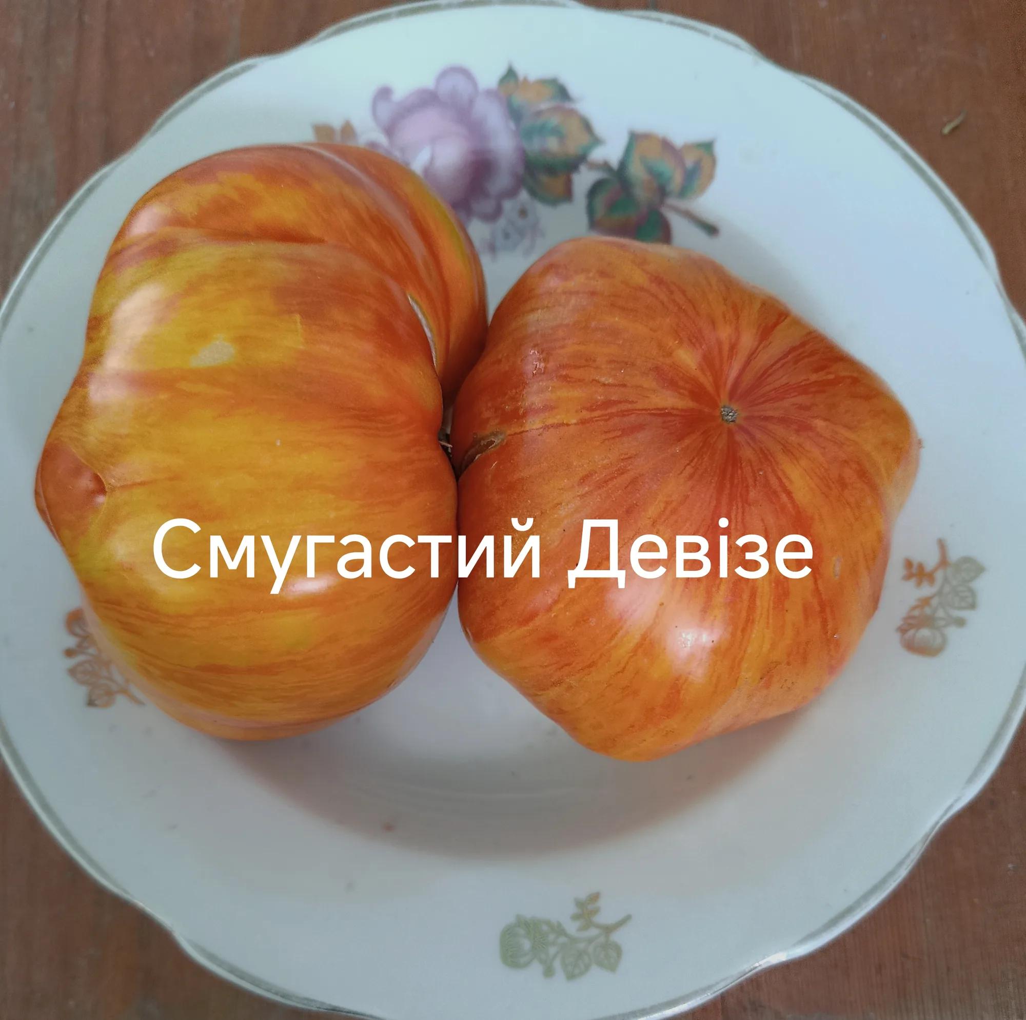 Смугастий Девізе