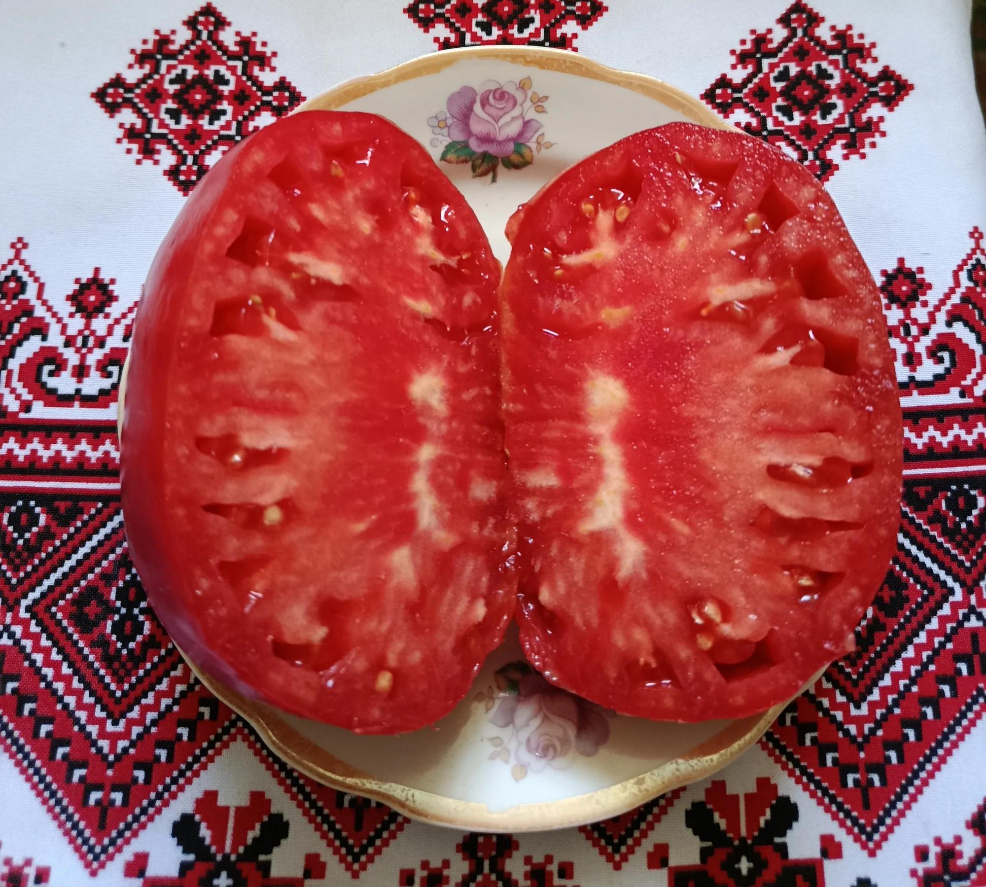 Мініатюра 7