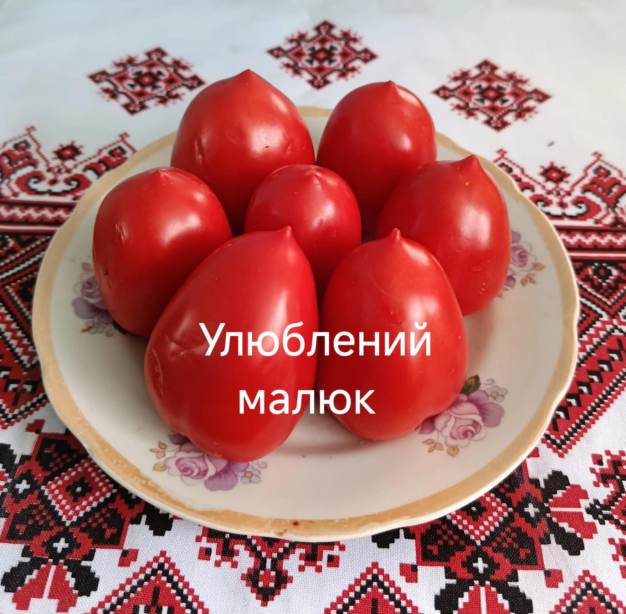 Мініатюра 2