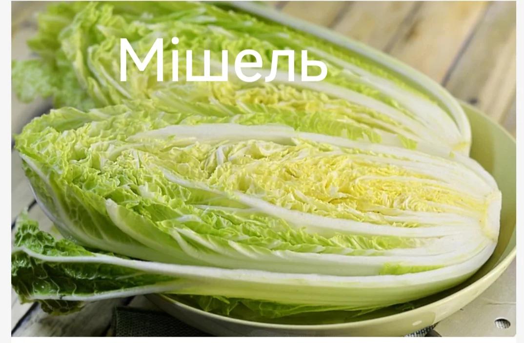 Мішель
