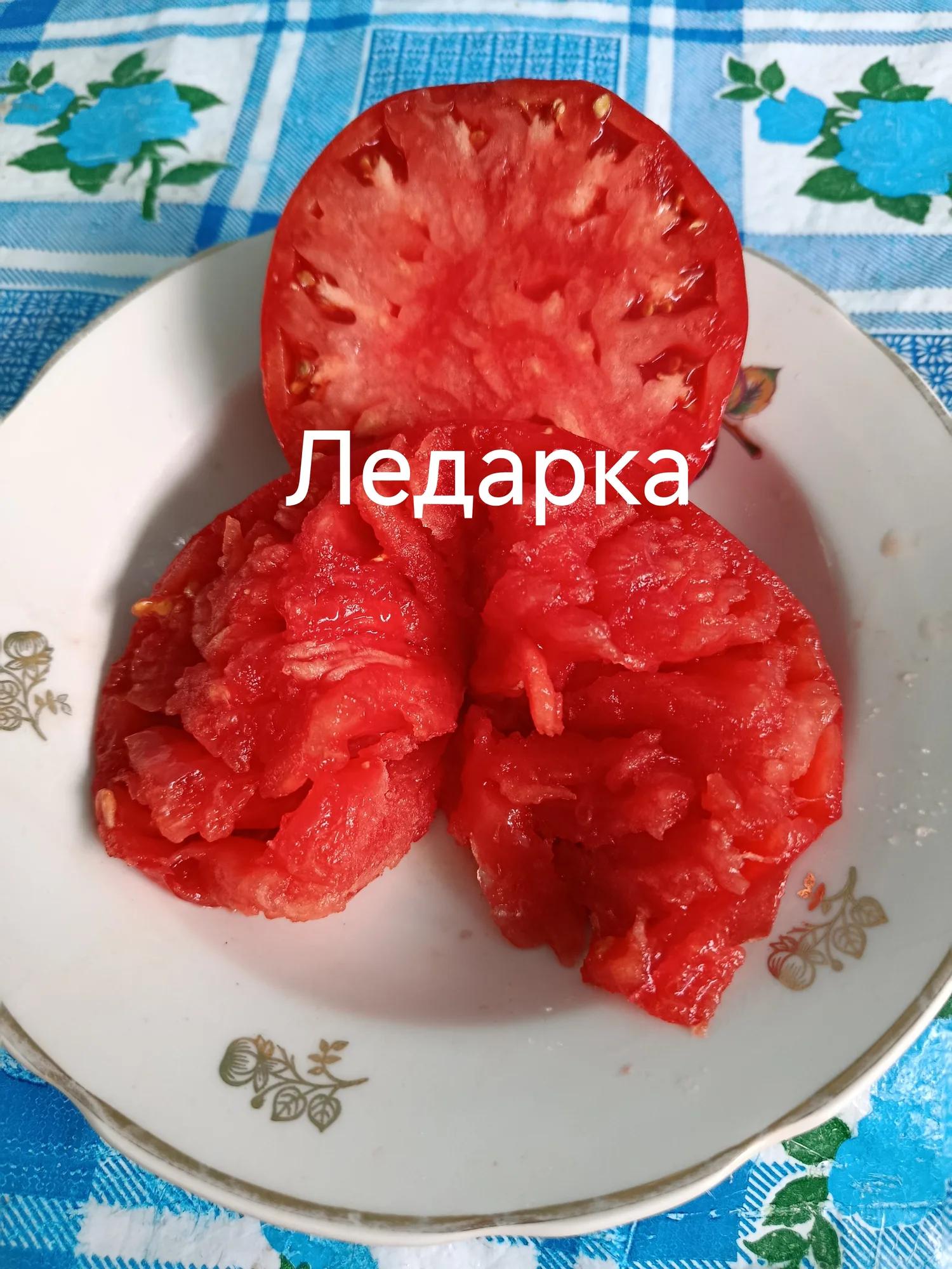 Мініатюра 5