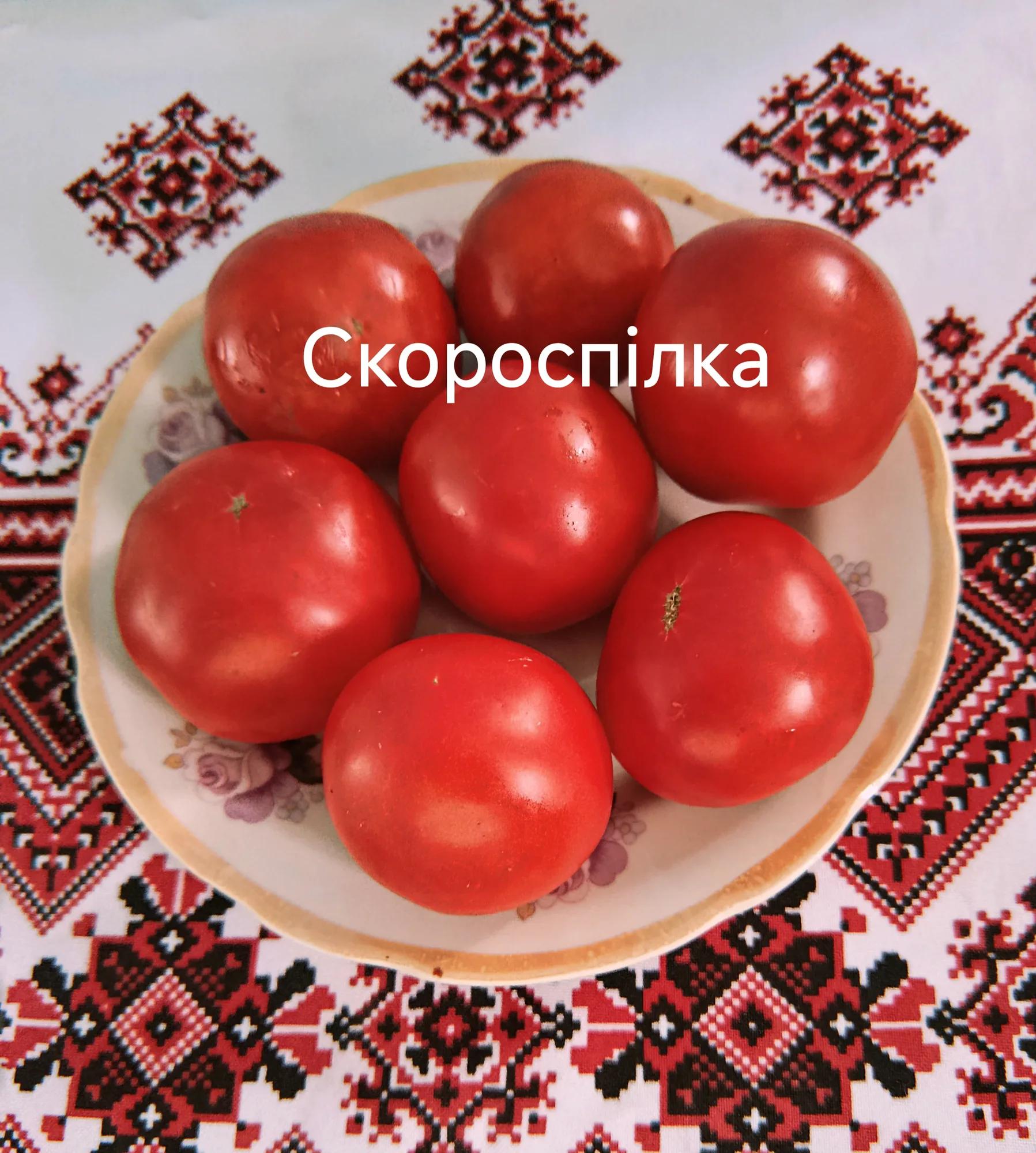 Мініатюра 2