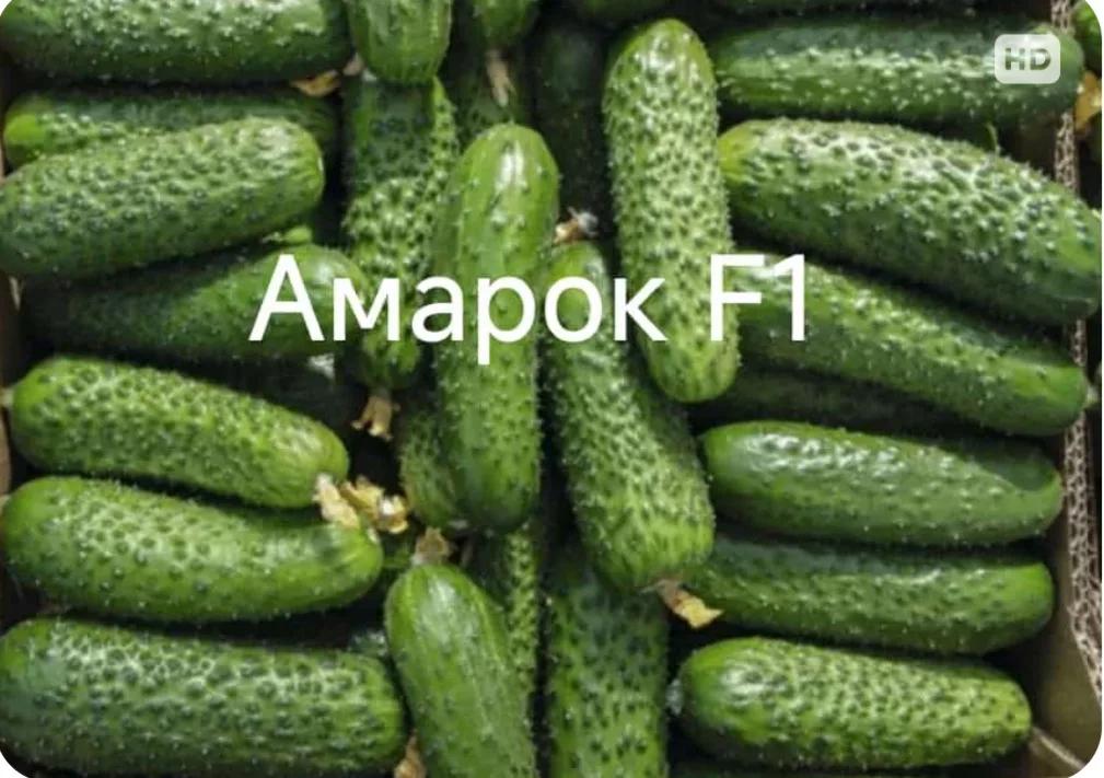 Амарок F1