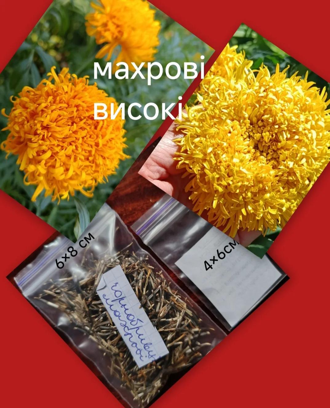 Мініатюра 4