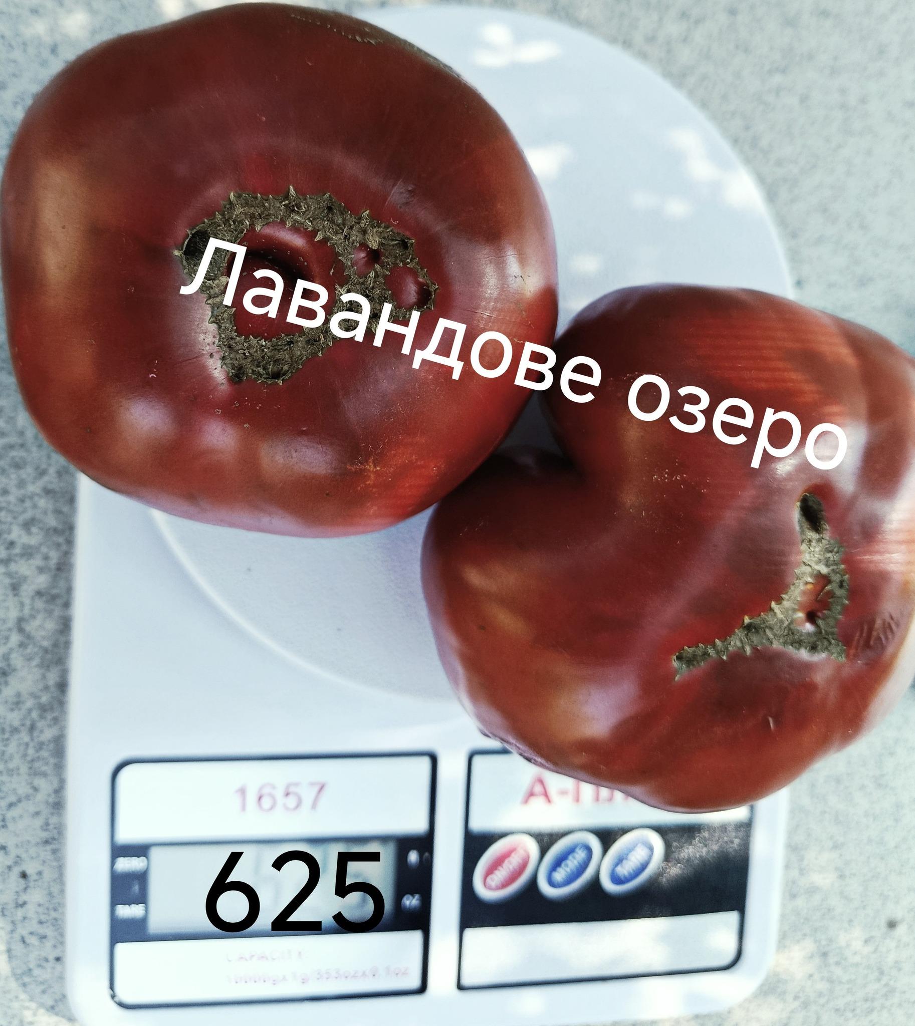 Мініатюра 3