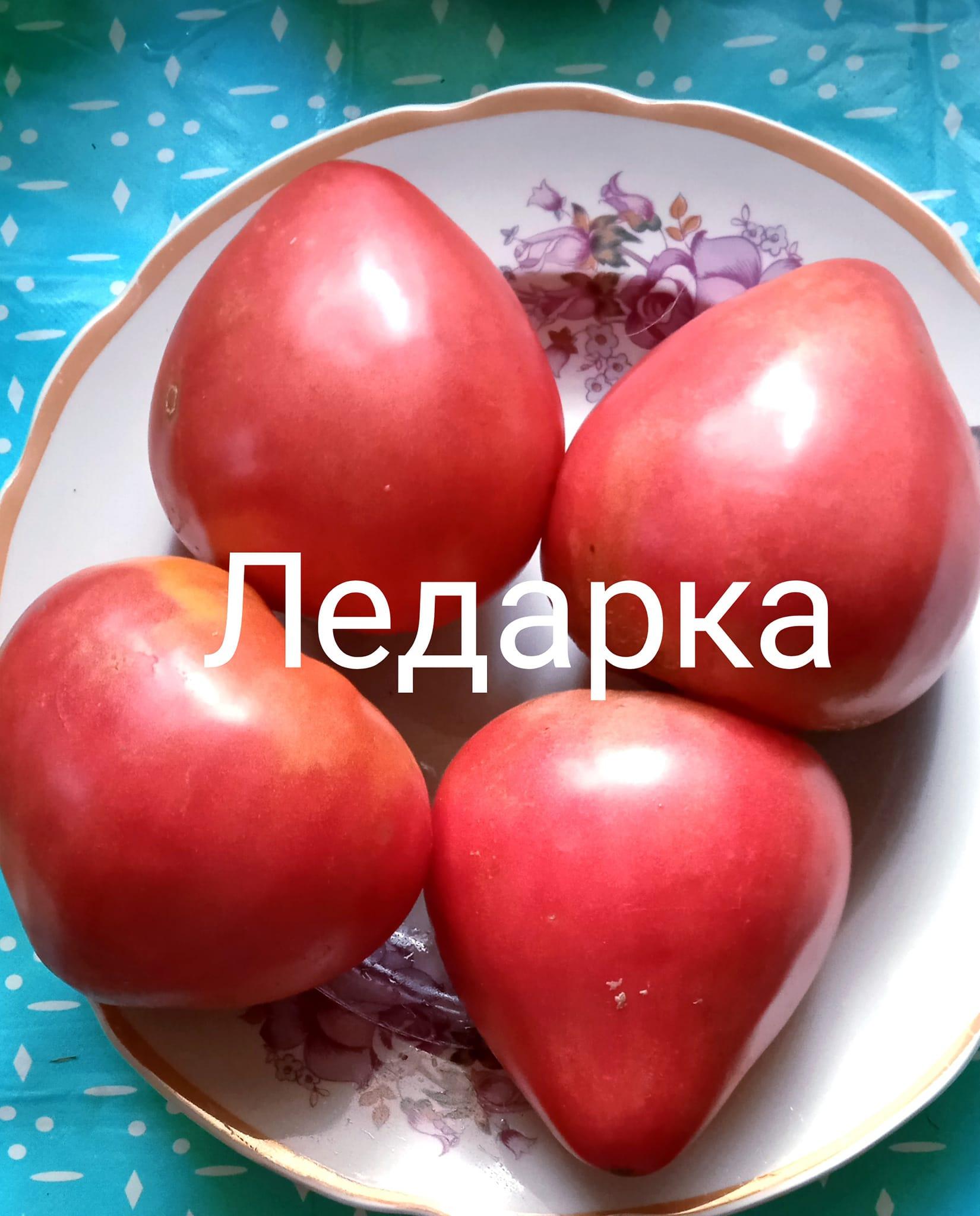 Ледарка