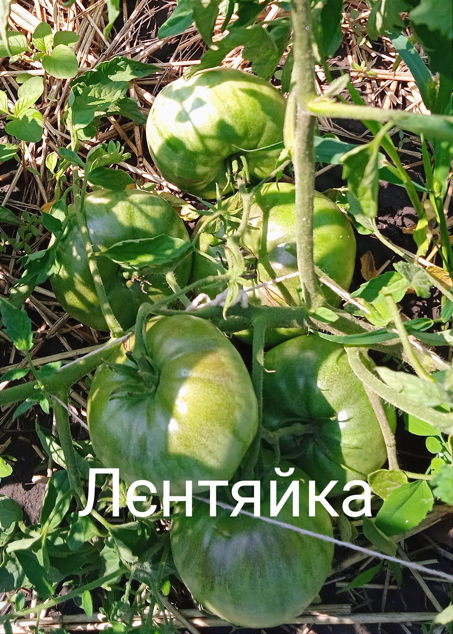 Мініатюра 2