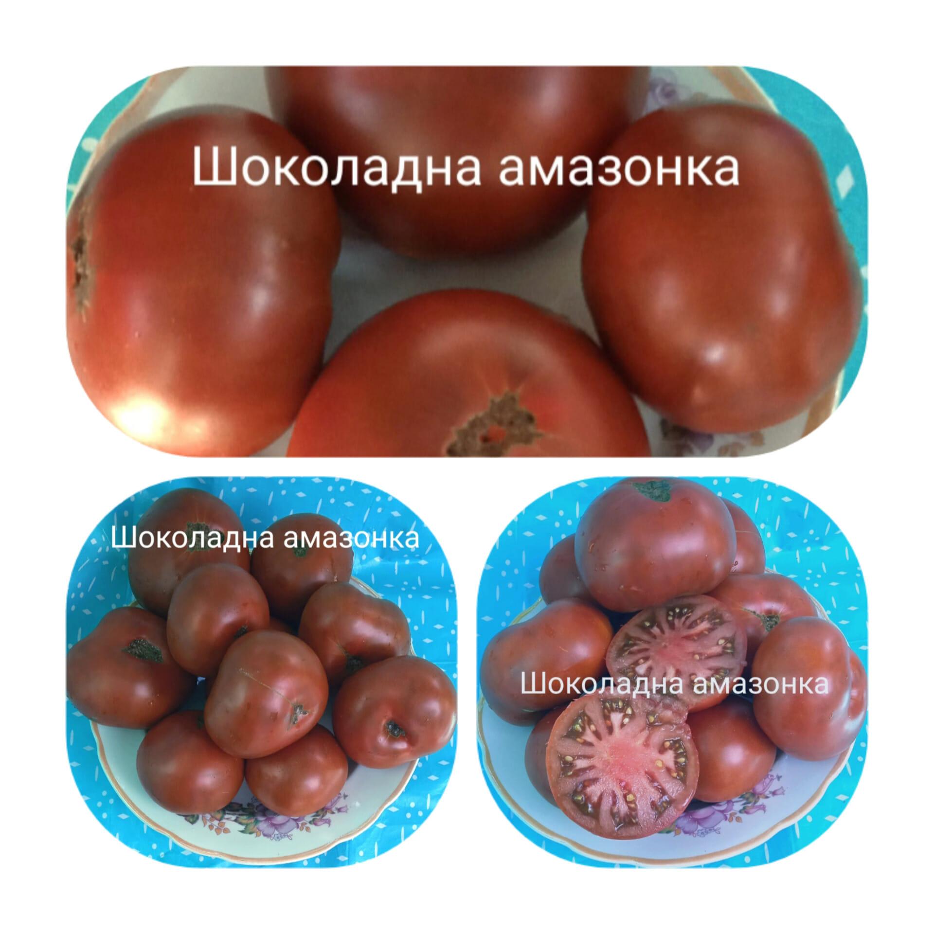 Шоколадна амазонка