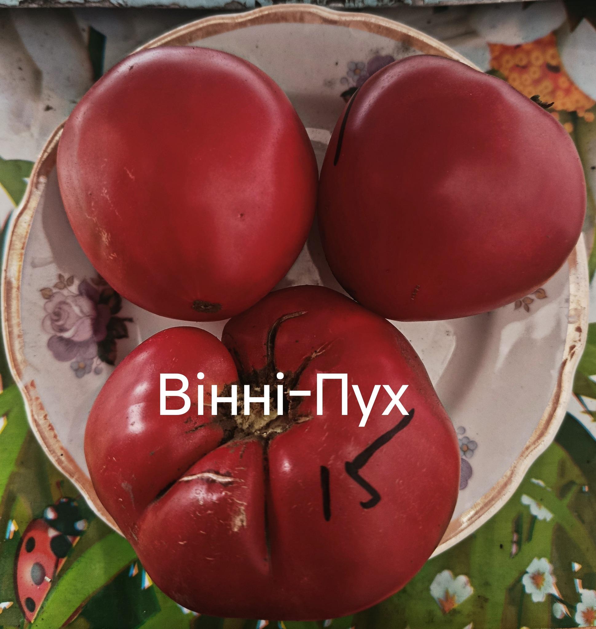 Мініатюра 3