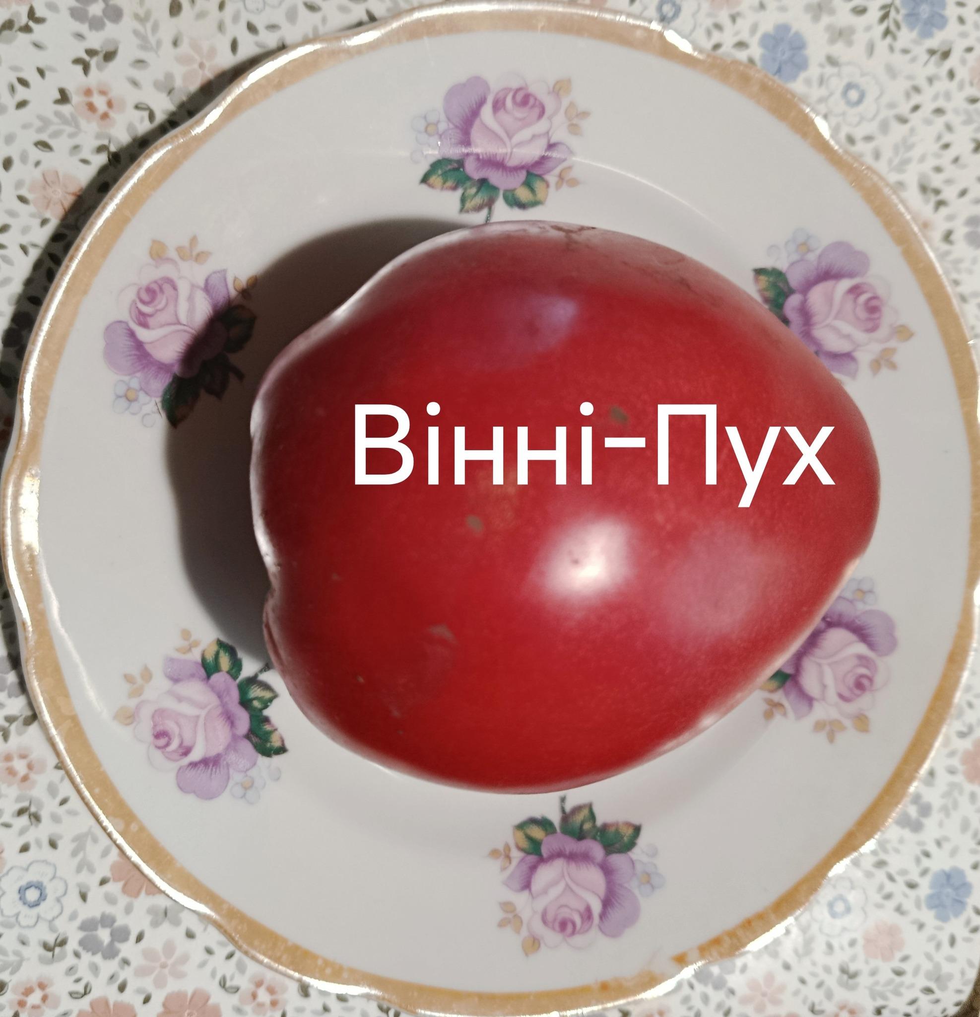 Мініатюра 4