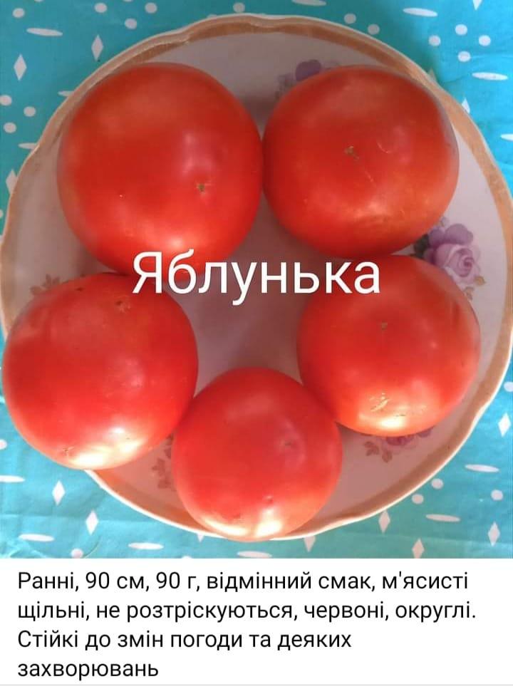 Мініатюра 2