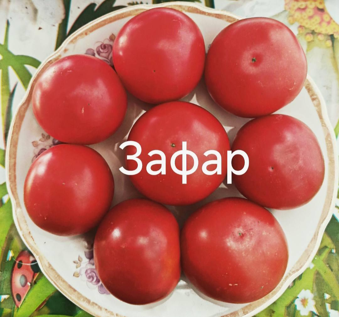 Зафар