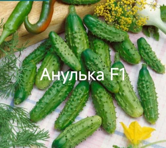 Анулька F1 - фото 1